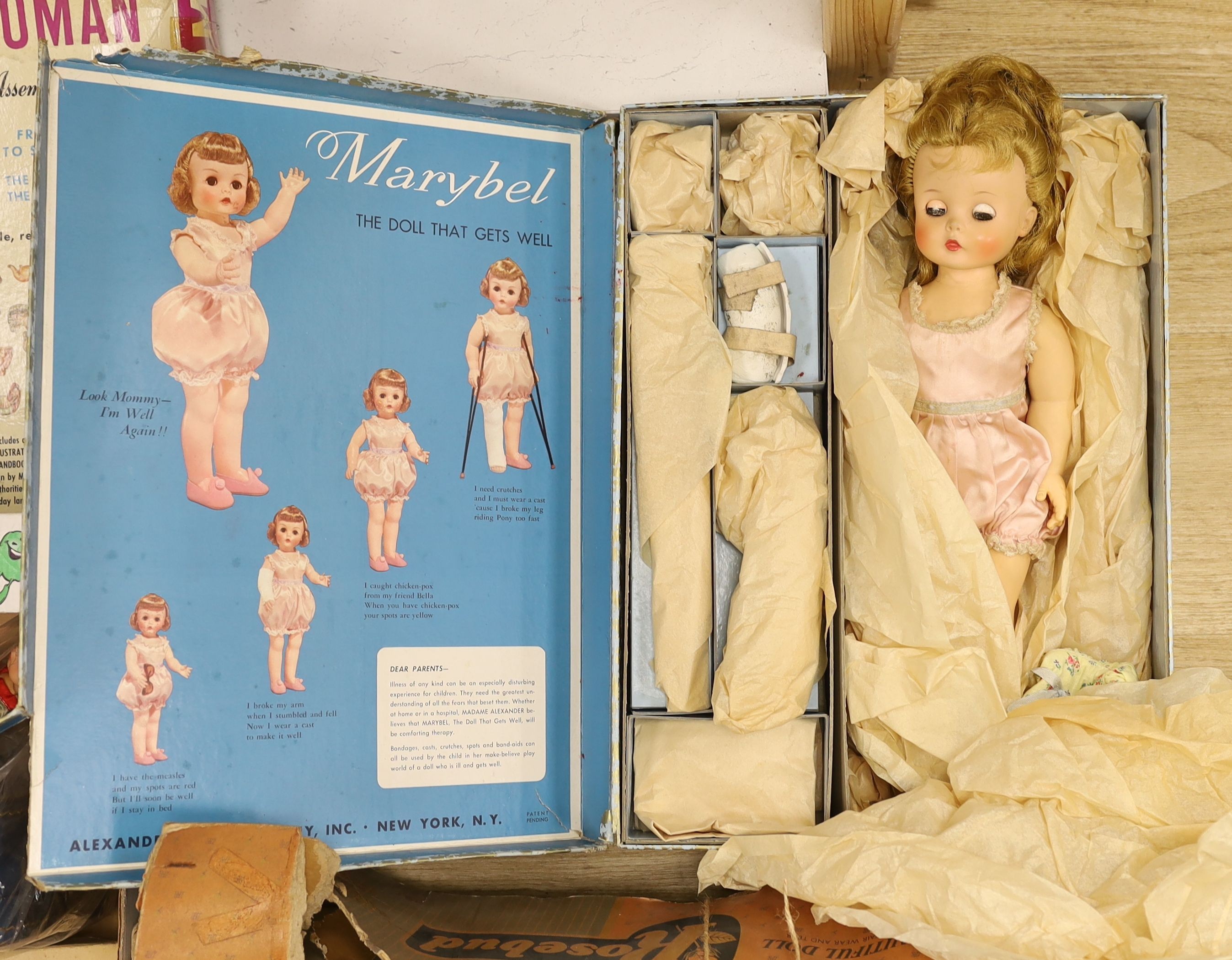 Three boxed dolls, The Visible Women and Cindy with cased clothes